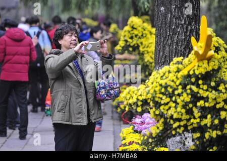 Jinan, Jinan, Cina. 6 Nov, 2016. Jinan, CINA-novembre 6 2016: (solo uso editoriale. Cina OUT) .il crisantemo mostra di Jinan, a est della capitale cinese della provincia dello Shandong, Novembre 6th, 2016. Il crisantemo fiorisce presso i Bagni di Baotu Park di Jinan, attirare folle di turisti. Credito: SIPA Asia/ZUMA filo/Alamy Live News Foto Stock