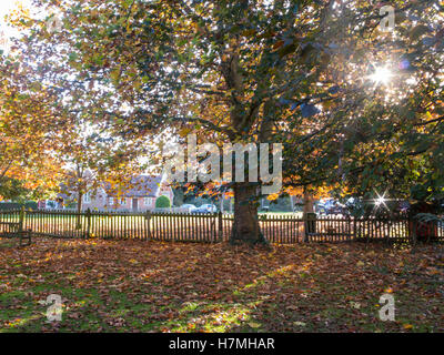 Il sole in autunno su un villaggio verde in Inghilterra Foto Stock