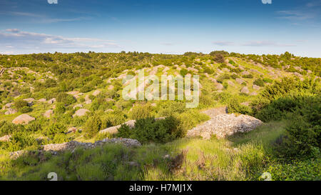 Isola di Hvar, colline in campagna; rocce e vegetazione mediterranea. Croazia. Croazia. Europa. Foto Stock