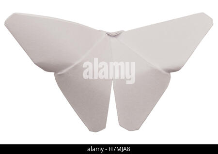 Origami butterfly isolati su sfondo bianco Foto Stock