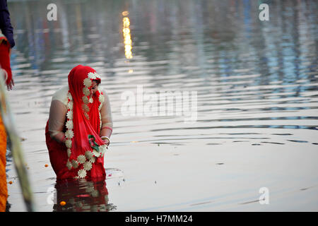 Kathmandu, Nepal. 6 Nov, 2016. Devoti nepalese tuffo nel laghetto e prega il dio del sole a Kamal Pokhari, Kathmandu, Nepal, domenica 06 novembre, 2016. Chhath Puja Festival, il culto del dio Sole, è comune in Nepal Terai della regione ed è celebrata in Kathmandu nonché dal Terai europee e in India. Il culto deve essere basata su uno stagno, un fiume o una qualsiasi fonte d'acqua, come per la tradizione religiosa. Credito: Narayan Maharjan/Pacific Press/Alamy Live News Foto Stock