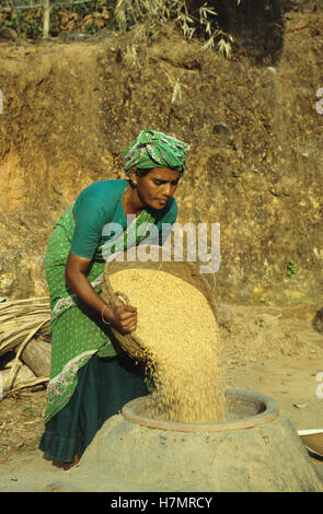 INDIA Karnataka, Moodbidri, la coltivazione del riso, donna far bollire il riso Foto Stock