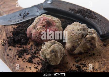 Alba il tartufo bianco pregiato tubero sul pannello di legno e tartufo il coltello Foto Stock