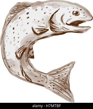 Stile acquerello illustrazione di una trota iridea pesce jumping visto dal lato impostato su isolato sullo sfondo bianco. Illustrazione Vettoriale