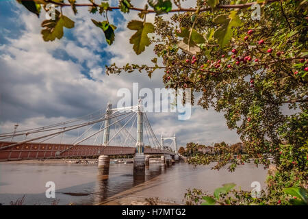 Chelsea Bridge sul fiume Tamigi a Londra, Inghilterra Foto Stock