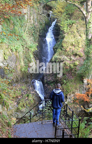 Autunno a Aira Force rientra in Cumbria Inghilterra REGNO UNITO Foto Stock
