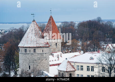 Inverno vista sui tetti storici della città vecchia di Tallinn, Estonia Foto Stock