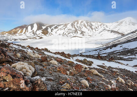 Vista del cratere centrale in inverno Tongariro Alpine Crossing, Nuova Zelanda Foto Stock