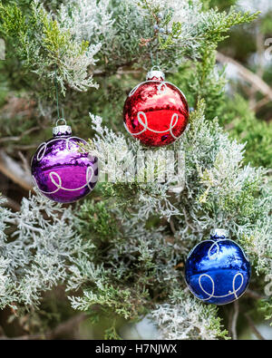 Tre colorate palla di Natale ornamenti su un effetto smerigliato albero di cedro. Primo piano. Foto Stock