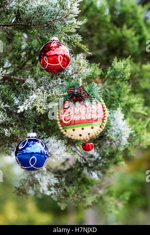 Tre decorazioni di Natale su un effetto smerigliato albero di cedro. Foto Stock