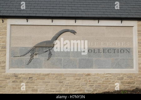 Attacca le collezioni- Museum of Jurassic vita marina, Kimmeridge, Dorset Foto Stock
