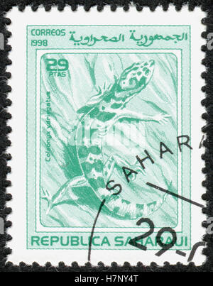 Un timbro stampato nella Repubblica Sahraoui, mostra il Western nastrare Gecko (Coleonyx variegatus). Foto Stock