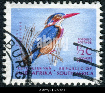 Sud Africa - circa 1961: un timbro stampato in Sud Africa, mostra un uccello nana africana Kingfisher (Ispidina picta), circa 1961 Foto Stock