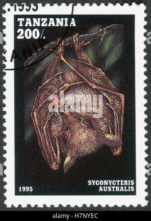 TANZANIA - circa 1995: un timbro stampato in Tanzania mostra il fiore comune bat (Syconycteris australis), circa 1995 Foto Stock