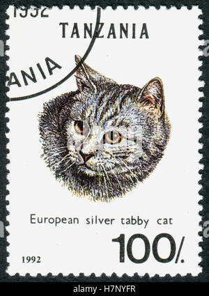 TANZANIA - circa 1992: un timbro stampato in Tanzania mostra l'animale Unione Silver tabby (Felis silvestris catus), circa 1992 Foto Stock