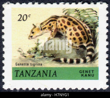 TANZANIA - circa 1980: un timbro stampato in Tanzania mostra il capo genet (Genetta tigrina), circa 1980 Foto Stock