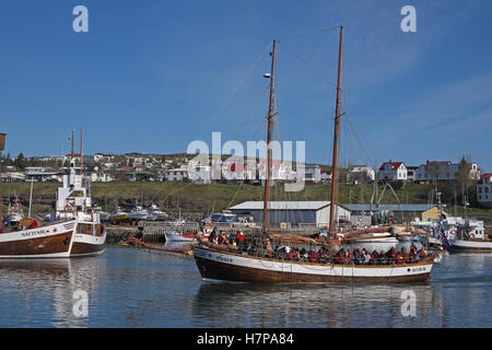 Il vecchio legno barca a vela di intraprendere un awhale guardando safari, Husavik, Islanda. Foto Stock