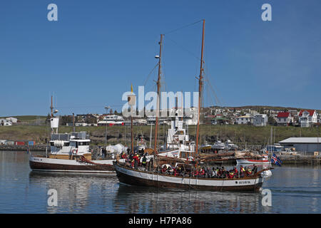 Il vecchio legno barca a vela di intraprendere un safari avvistamento balene, Husavik, Islanda. Foto Stock