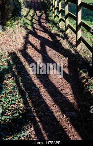 Foglie sparse un paese percorso con l'ombra di una recinzione di legno gettato sul terreno. Foto Stock