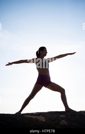 Donna di eseguire lo yoga su driftwood Foto Stock