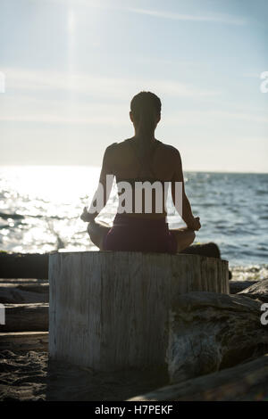 Vista posteriore della donna di eseguire lo yoga su driftwood Foto Stock