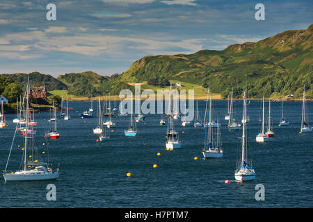 Isola Kerrera vista con le navi a vela. Foto Stock