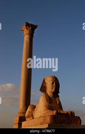 La colonna di Pompeo Alessandria d Egitto Foto Stock