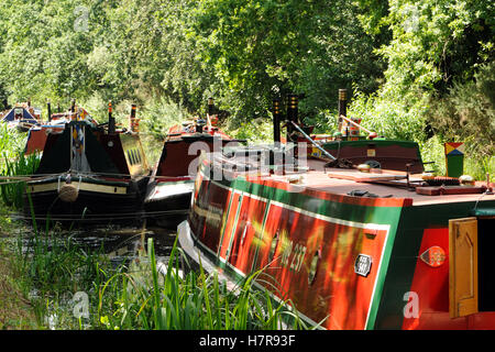 Barche ormeggiate sul Basingstoke canal, Woking, Surrey. Regno Unito Foto Stock