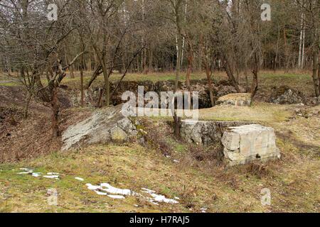 Wehrwolf in Vinnitsa, Ucraina. Hitler bunker. Foto Stock