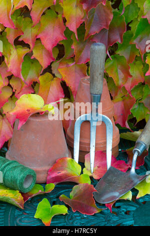 Giardino cazzuola e lato forche con caduta foglie di Virginia superriduttore Parthenocissus quinquefolia Foto Stock