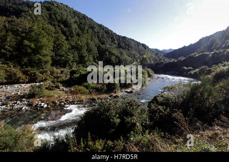 Il Wangapeka River Valley, Kahurangi National Park, Nuova Zelanda Foto Stock