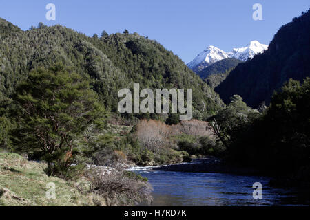 Il Wangapeka River Valley, Kahurangi National Park, Nuova Zelanda Foto Stock