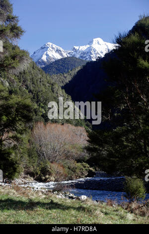 Il Wangapeka River Valley, Kahurangi National Park, Nuova Zelanda Foto Stock