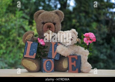 Antique brown orsacchiotto e un orso bianco seduta con amore di pietre contro natura verde di sfondo e le rose rosa Foto Stock