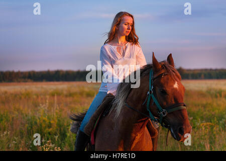 Bella cavaliere in un campo al tramonto Foto Stock