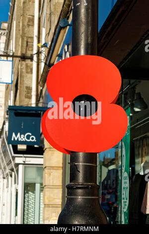 Warminster, Wiltshire, Regno Unito. 7 Nov 2016. Un grande imitazione di papavero su una lampada posta nella città mercato di Warminster, Wiltshire, per commemorare la British and Commonwealth caduti Credito: Andrew Harker/Alamy Live News Foto Stock