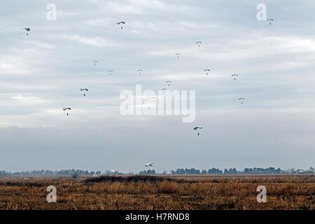 Kovin, Serbia. 7 Novembre, 2016. Belgrado, bielorusso e militare serba esercizio "La Fratellanza slava 2016' all aeroporto militare Kovin. 7 Nov, 2016. Soldati russi paracadute da un piano durante il giunto, russe e bielorusse militare serbo esercizio "La Fratellanza slava 2016' all aeroporto militare Kovin, Serbia su nov. 7, 2016. La Russia, la Bielorussia e la Serbia inizio lunedì un giunto militare internazionale di esercitare sotto il nome di 'La Fratellanza slava 2016'. Il trapano durerà fino al 9 novembre 9. Credito: Predrag Milosavljevic/Xinhua/Alamy Live News Foto Stock