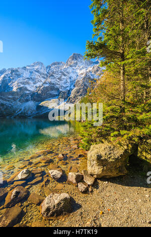 Morskie Oko lago nella collezione autunno colori e picchi innevati, Monti Tatra, Polonia Foto Stock