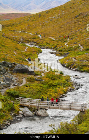 Gli escursionisti attraversare il ponte sul fiume selvaggio trail, Denali National Park & Preserve, Interior Alaska, STATI UNITI D'AMERICA Foto Stock