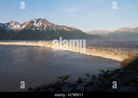 Foro grande marea rotola a braccio Turnagain centromeridionale, Alaska, STATI UNITI D'AMERICA Foto Stock