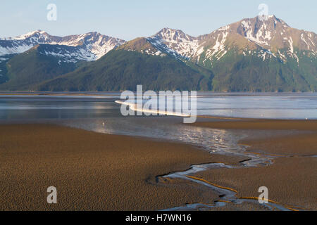 Foro grande marea rotola a braccio Turnagain centromeridionale, Alaska, STATI UNITI D'AMERICA Foto Stock