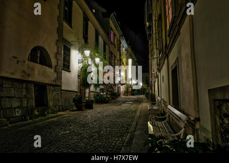 Corsia di ghiaia nel centro di Ljubliana di notte Foto Stock