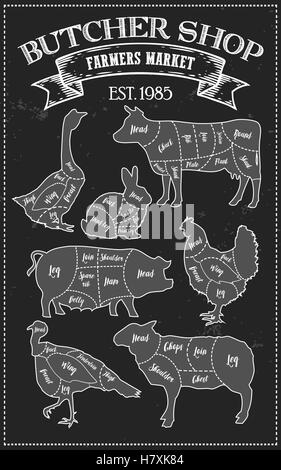 Il taglio di carne guida schema Schema di taglio in stile vintage. Chalk illustrazione elemento grafico di menu, banner. Bistecca di vacca pulcino di maiale Illustrazione Vettoriale