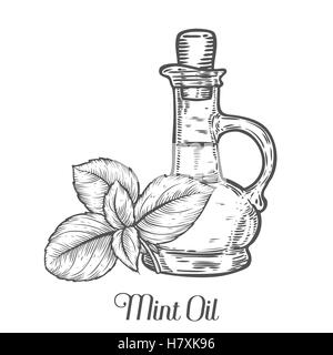 Olio di menta bottiglia vettore di sementi. Isolato su sfondo bianco. Essenza di menta aroma ingrediente. Incisi a mano Illustrazione disegnata in re Illustrazione Vettoriale