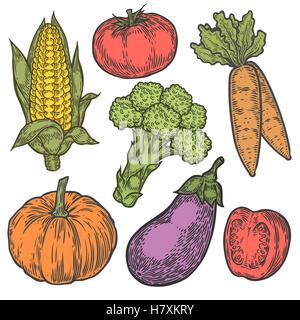 Mercato degli Agricoltori il badge. Monocromatico incisione vintage Organici ortaggi, grano e frutta segno isolato su bianco. Schizzo ha vettore Illustrazione Vettoriale