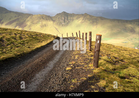 Strada di Montagna, Islanda Foto Stock