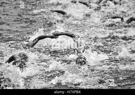 Deutschland, Amburgo, 17.07.2010, destrogira energia ITU Triathlon World Championship - Schwimmen der Pro Herren in der Alster. Foto Stock