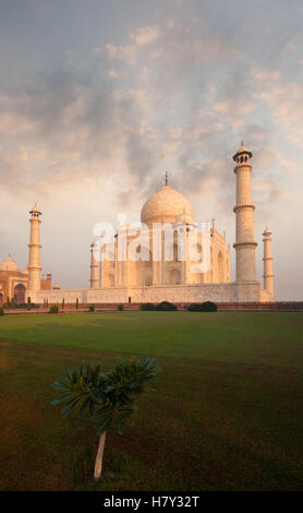 Fiery cielo dietro iconico arancione incandescente marmo del Taj Mahal e prato frontale piano primo con nessuno presente in Agra, India. Vertica Foto Stock