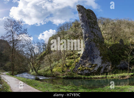 Il pinnacolo calcareo noto come Ilam Rock in Dovedale, Parco Nazionale di Peak District, Inghilterra Foto Stock