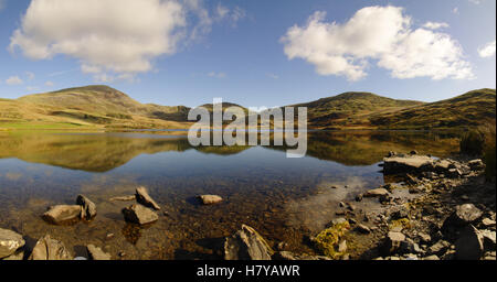 Llyn Cwmstradlyn, Galles del Nord. Gran Bretagna, Regno Unito, Foto Stock